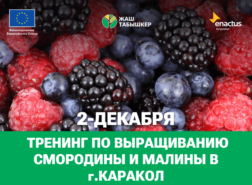 2 ДЕКАБРЯ – ТРЕНИНГ В КАРАКОЛЕ