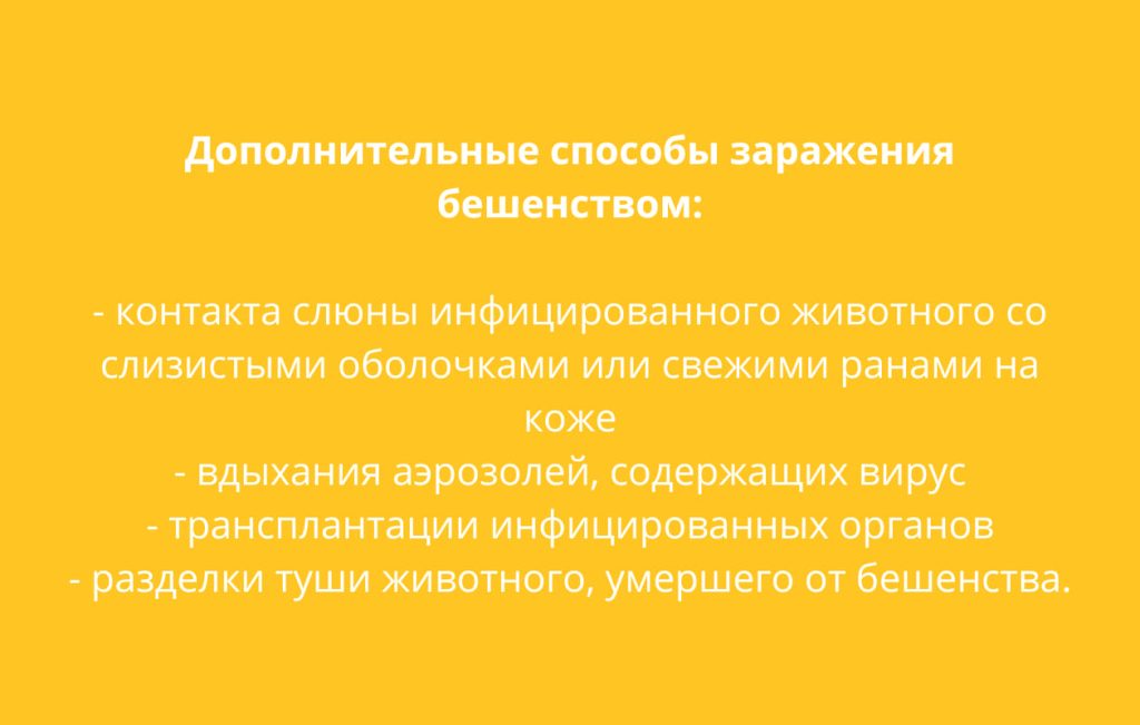 28 сентябрь (2)