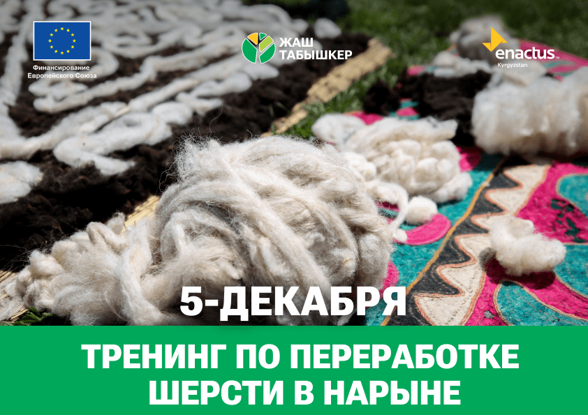 Табигый жүндөн тигилген кийимдердин адамдын ден соолугуна пайдалуу таасири бар экени бардыгына белгилүү болсо керек.