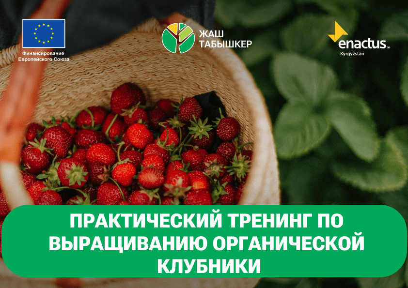 ТРЕНИНГ В ДЖАЛАЛ-АБАДСКОМ АГРО ЦЕНТРЕ