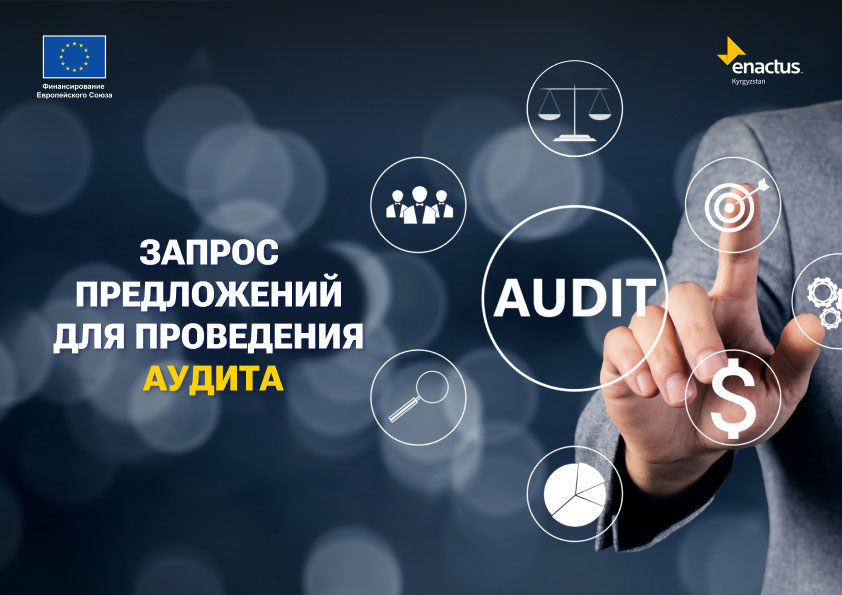 Запрос предложений для проведения аудита