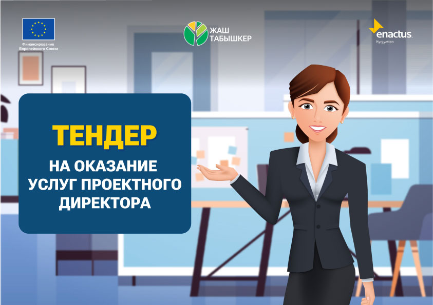 Тендер на оказание услуг проектного директора