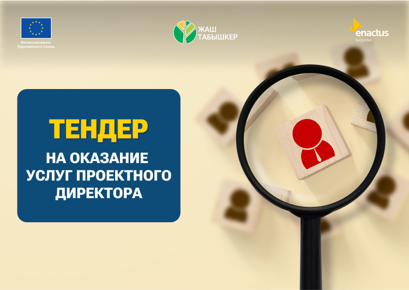 Тендер на оказание услуг проектного директора